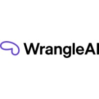 WrangleAI logo - Similar company to Sowhat? Insights
