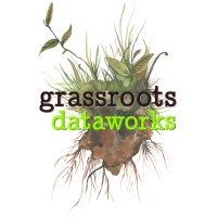 Grassroots Dataworks logo - Similar company to Tectona Group