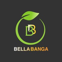 Bellabanga logo - Similar company to Afridev Studio
