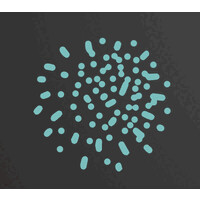 DYB Tecnologia logo - Similar company to Wejust