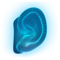 Veritas Hearing Malta logo - Similar company to Duncan Hearing Healthcare