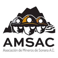 AMSAC Sonora logo - Similar company to Inmason | Grupo Peal