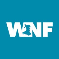 Wales Nuclear Forum logo - Similar company to Fusion Industry Taskforce (Fit)
