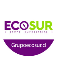 Grupo Ecosur logo - Similar company to Gestec