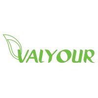 VALYOUR SARL logo - Similar company to Valyour