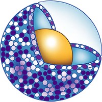 BlueWillow Biologics, Inc. logo - Similar company to Tsrl, Inc