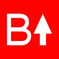 Big Brancy - ROI Focused Growth Agency logo - Similar company to Autochats.Pro