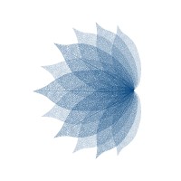Aephoria logo - Similar company to Ioda - International Organization Development Association