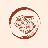 Delcor Foundation logo - Similar company to Delcor Structure