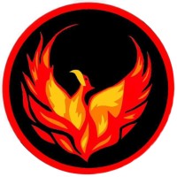Team Phoenix Racing logo - Similar company to Agnee Engineering