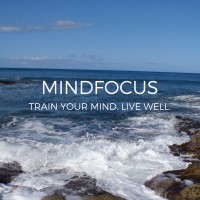 MindFocus logo - Similar company to Triponclick.Com