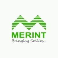 Merint Group logo - Similar company to Righteous Group