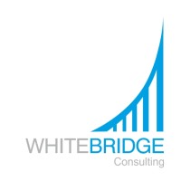 Whitebridge Consulting logo - Similar company to White Bridge Asset Management Llc