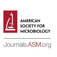 ASM Journals