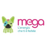 MEGA ENERGIE logo - Similar company to Mega Energiaki