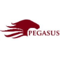 Pegasus Industrial logo - Similar company to Get Out