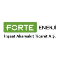 Forte Enerji logo - Similar company to Voltage Enerji