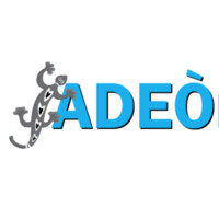 ADEÒ Business Solutions LLC