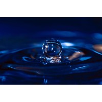 Carrer and Management Consultants logo - Similar company to Chief Talent Solutions, Inc.