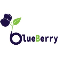Blueberry