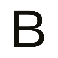 BECAME logo - Similar company to Cosine Group