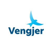Vengjer AS logo - Similar company to Target Smart