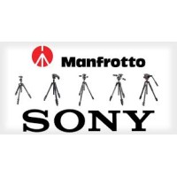Sony Electronics Pvt Limited