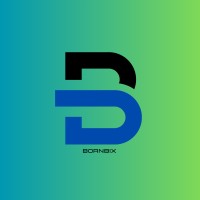 BORNBIX logo - Similar company to Bizleaf Technologies