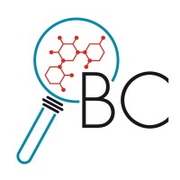 Bright Calcs LLC logo - Similar company to Bluefield Process Safety