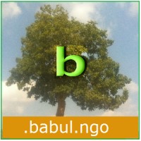 Babul Films Society NGO logo - Similar company to Fusion Software Technologies