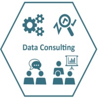 Data Consulting LA logo - Similar company to Online Technical Services, Inc.