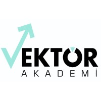 Vektör Akademi logo - Similar company to Ri Akademi Bilişim Teknolojileri