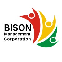 Bison Management Corporation logo - Similar company to Nabs Group