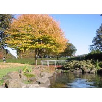 Albany Parks & Recreation Foundation