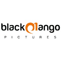 Black Mango Pictures logo - Similar company to Black Mango Production