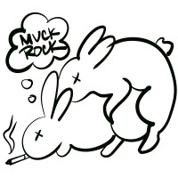 Muck Rock Studio logo - Similar company to Muckrock Foundation