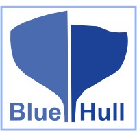 Bluehull Partners logo - Similar company to Floasis