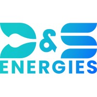 D&S ENERGIES logo - Similar company to D-Zone