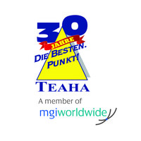 Teaha Management Consulting logo - Similar company to Dynamikraft