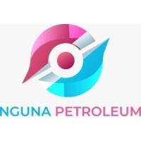 Nguna Petroleum logo - Similar company to Henko Group