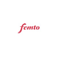 Femto Partners logo - Similar company to Axil Capital Partners, Axil Capital Advisors K.K.