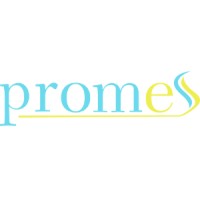 PROMES Otomasyon ve Elektrik Sistemleri logo - Similar company to Hextech Otomasyon