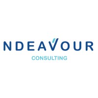 nDeavour Consulting logo - Similar company to Mobile Wave Solutions