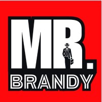 Mr. Brandy logo - Similar company to Mr Branding®