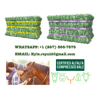 Alfalfa Hay For Sale Near Me logo - Similar company to Terradam