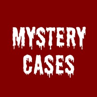Mystery Cases logo - Similar company to Hanken