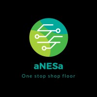aNESa logo - Similar company to Anesar