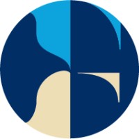Falko Solutions logo - Similar company to Mds Computer Systems