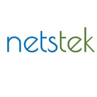netstek logo - Similar company to Itondemand