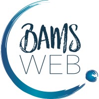 BAMS WEB logo - Similar company to Tel&Co Srl